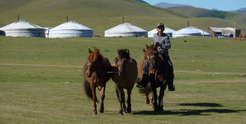 C05 Mongolie 3.jpg